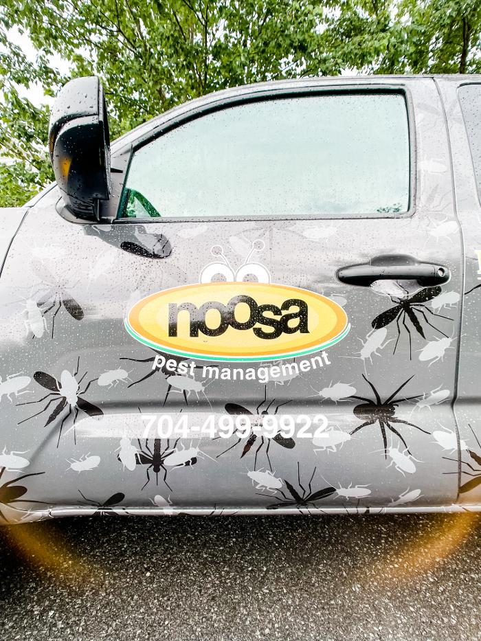 Noosa Pest Management LLC Logo