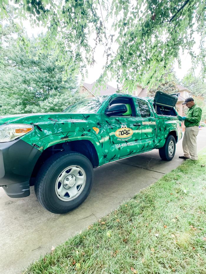 Noosa Pest Management LLC Image