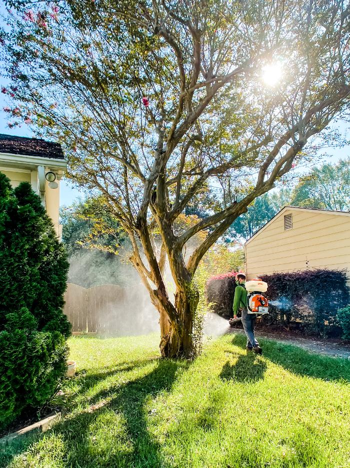 Noosa Pest Management LLC Image