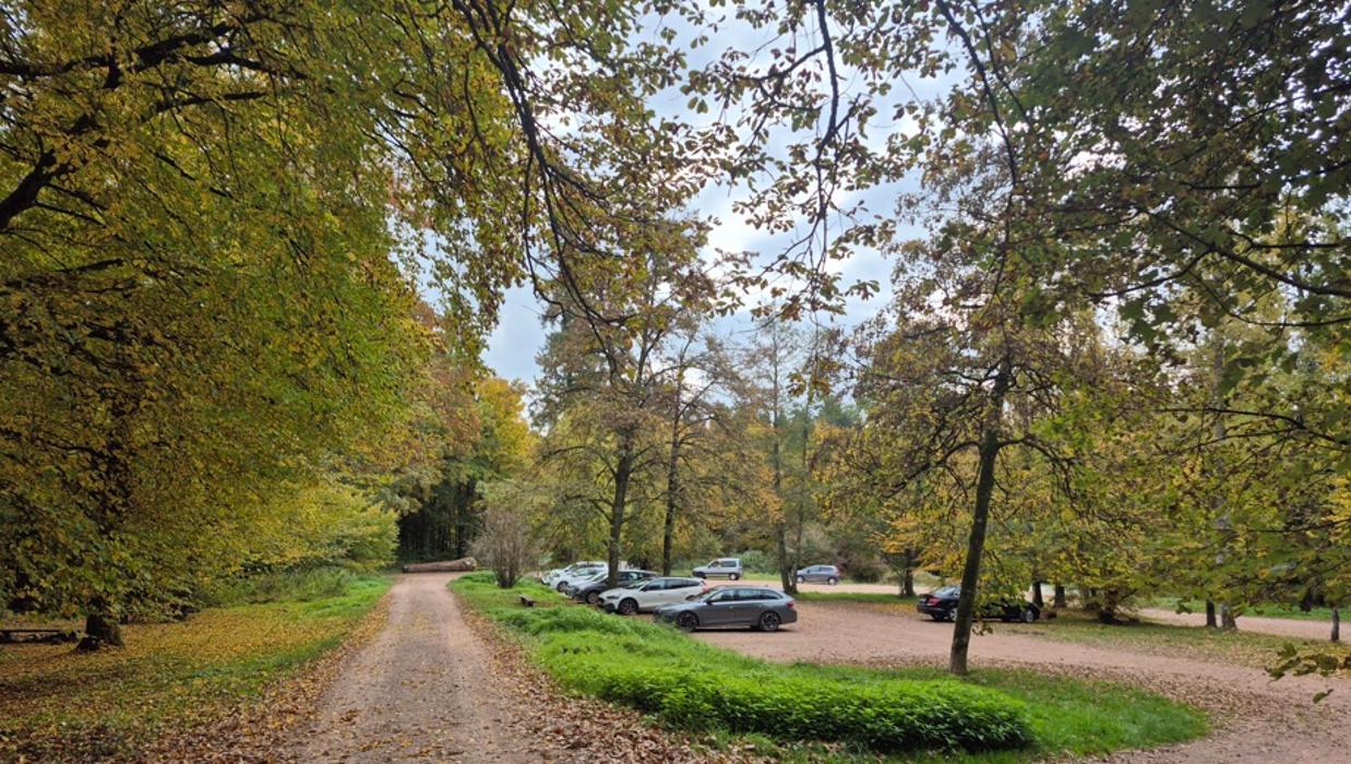 FriedWald Rümmingen, K in Rümmingen