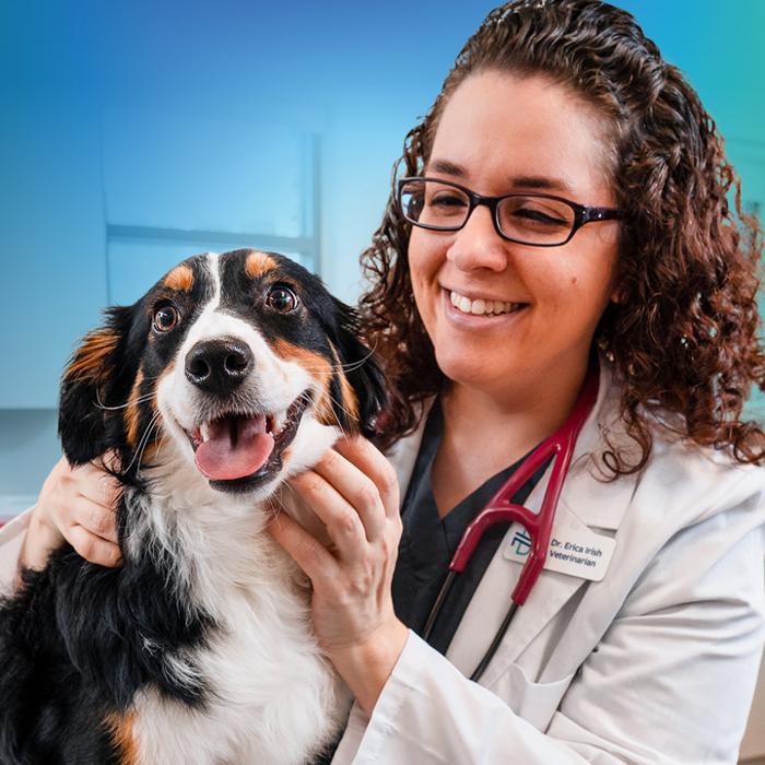 NewDay Veterinary Care Jacksonville Airport