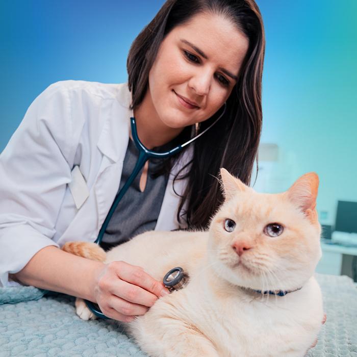 NewDay Veterinary Care Snellville