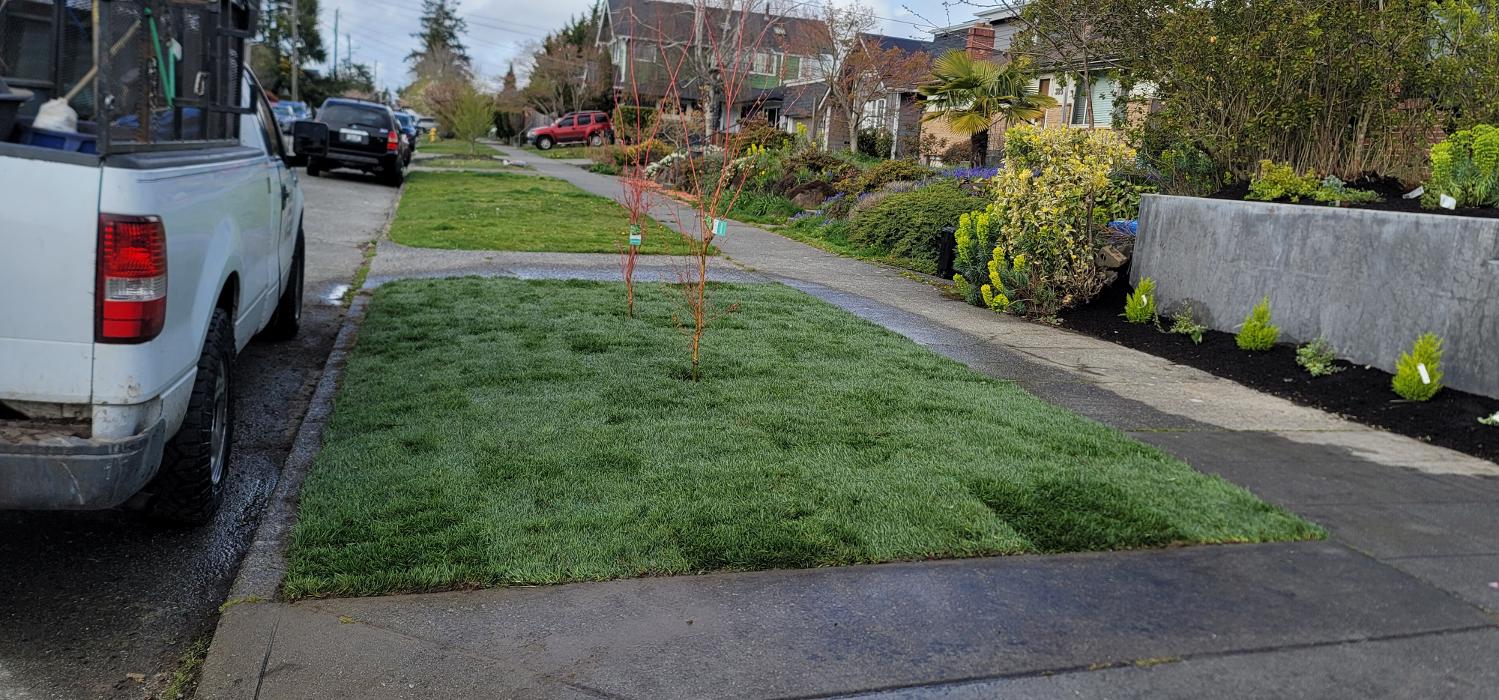 Elevate Landscape LLC Image