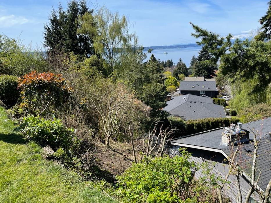 Elevate Landscape LLC Image