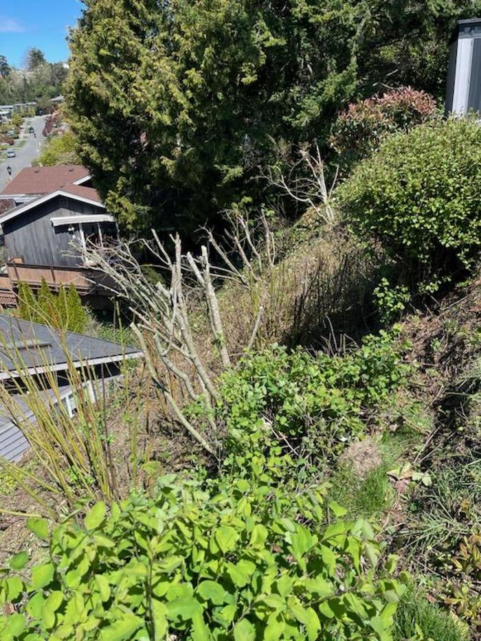 Elevate Landscape LLC Image