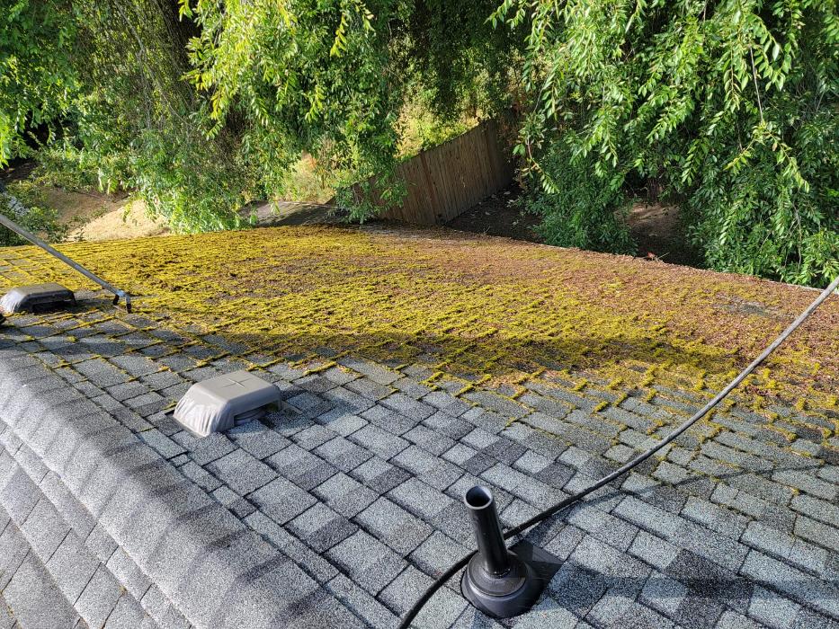 Elevate Landscape LLC Image