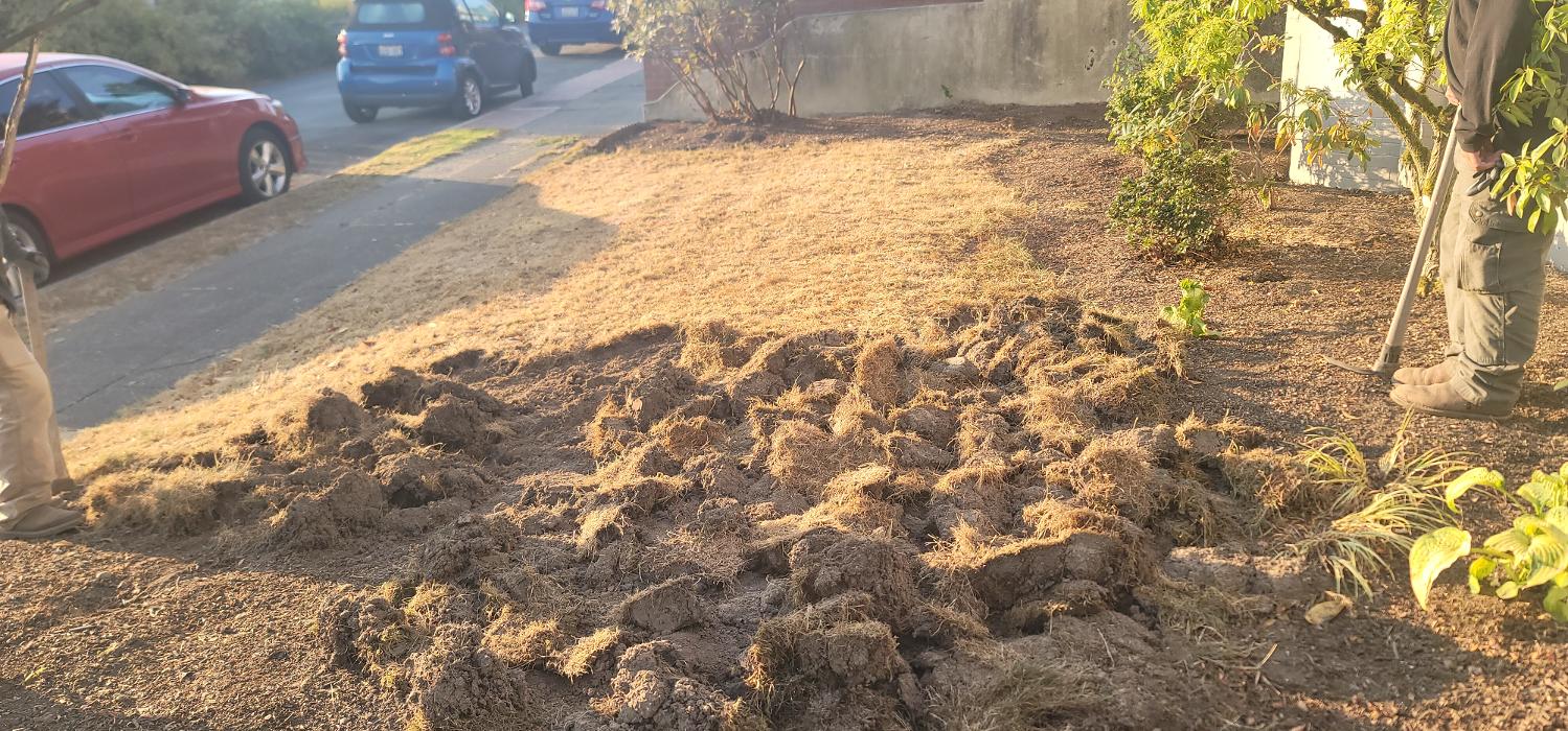 Elevate Landscape LLC Image