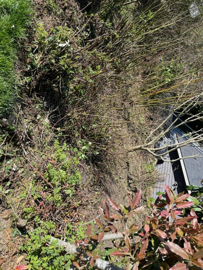 Elevate Landscape LLC Image