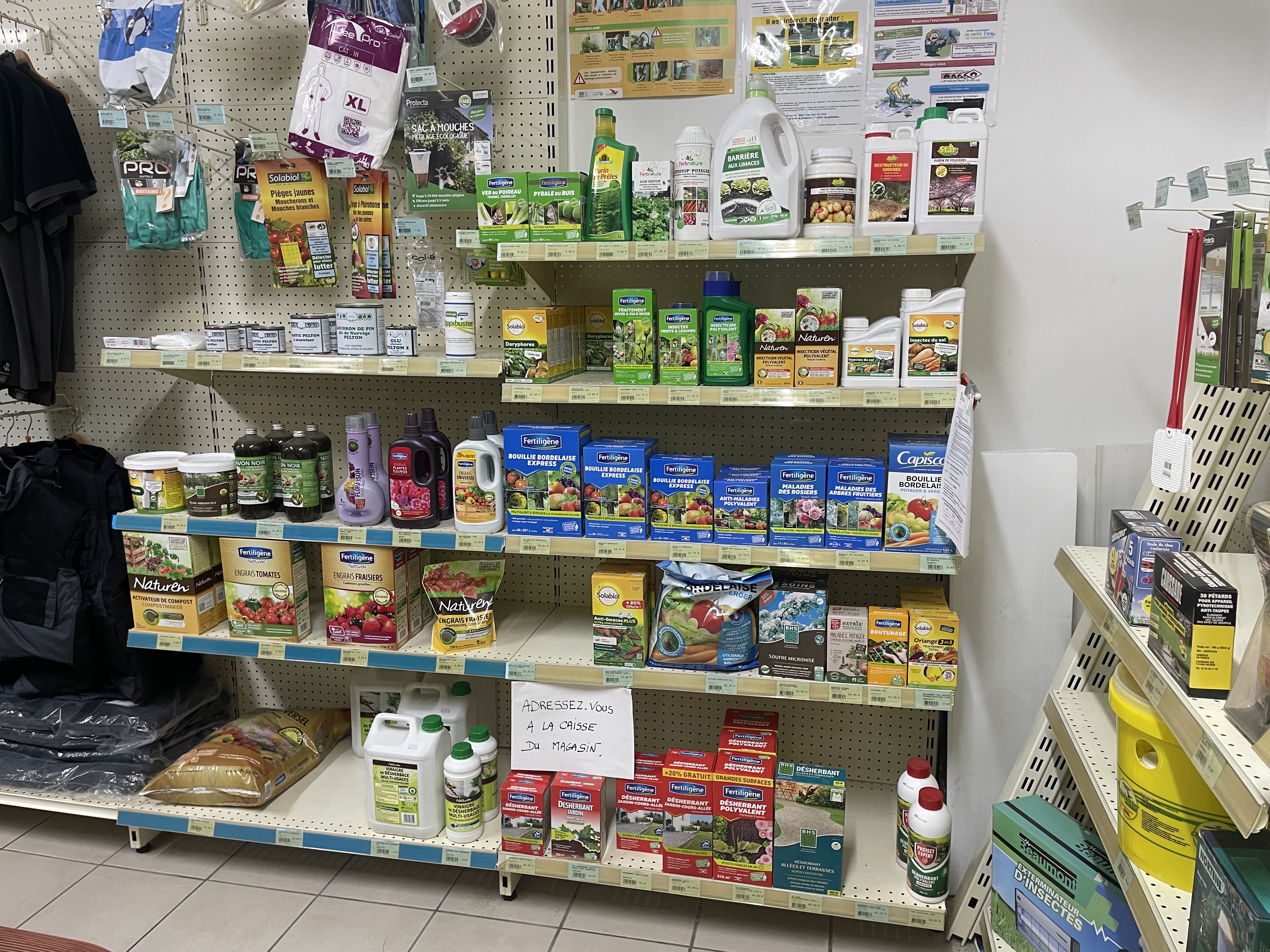 Miniature de la galerie