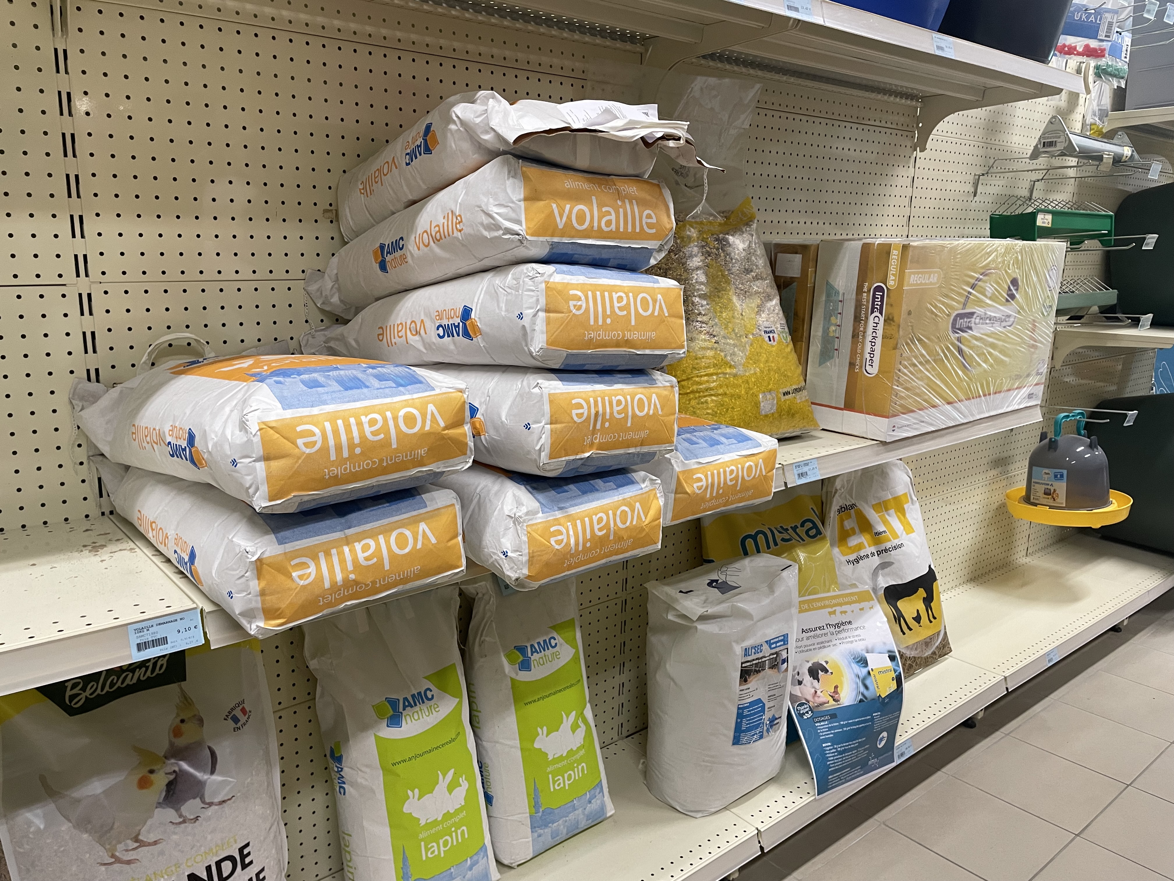 Miniature de la galerie