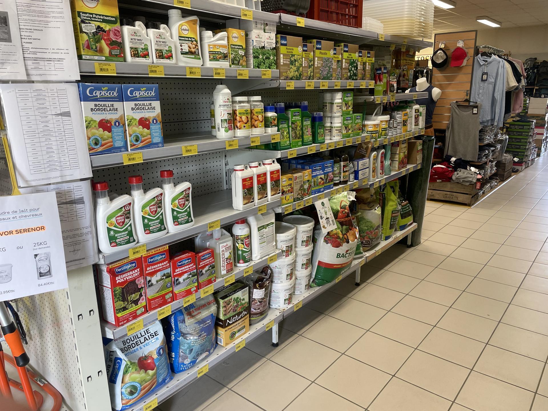 Miniature de la galerie