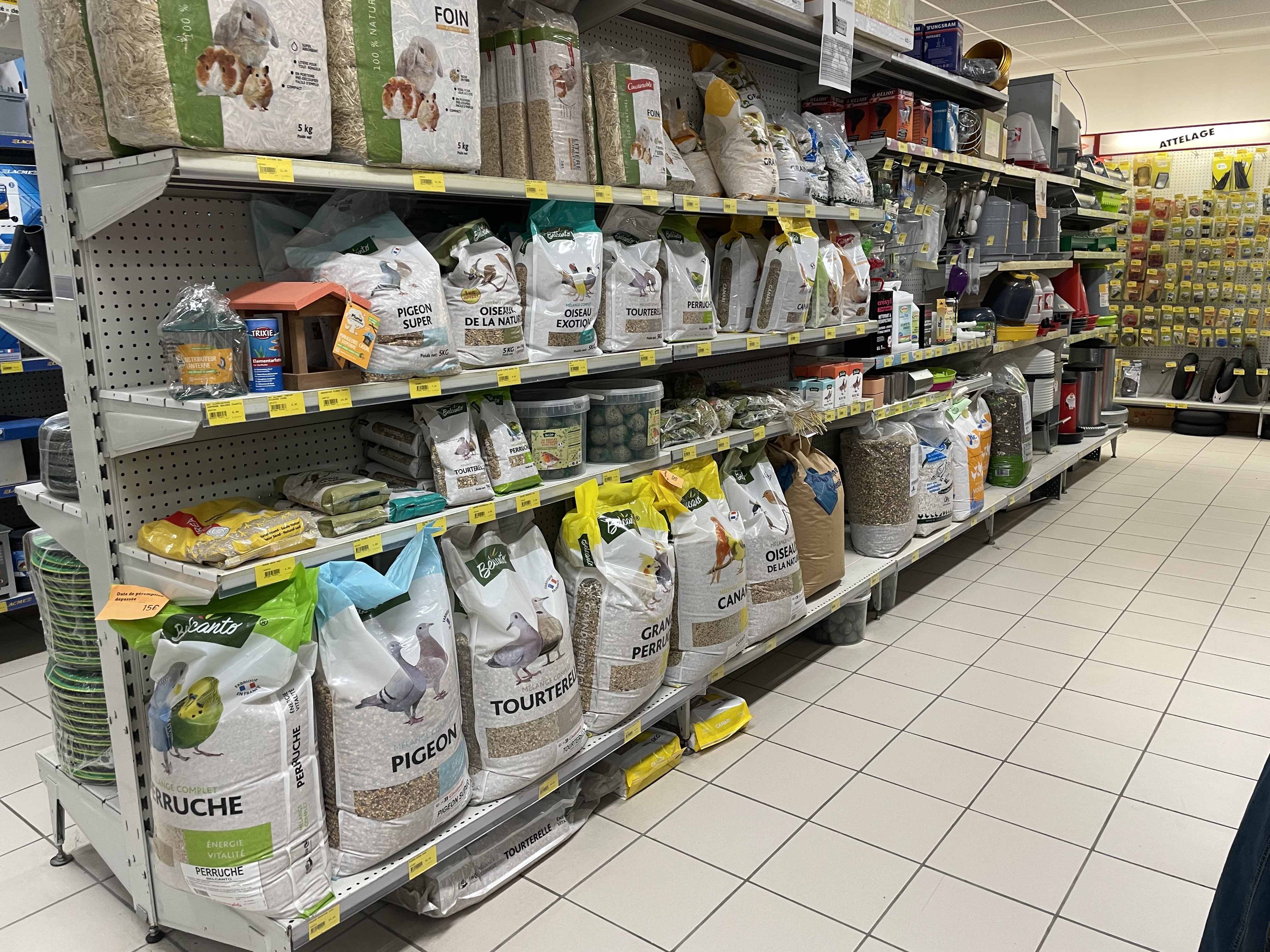 Miniature de la galerie