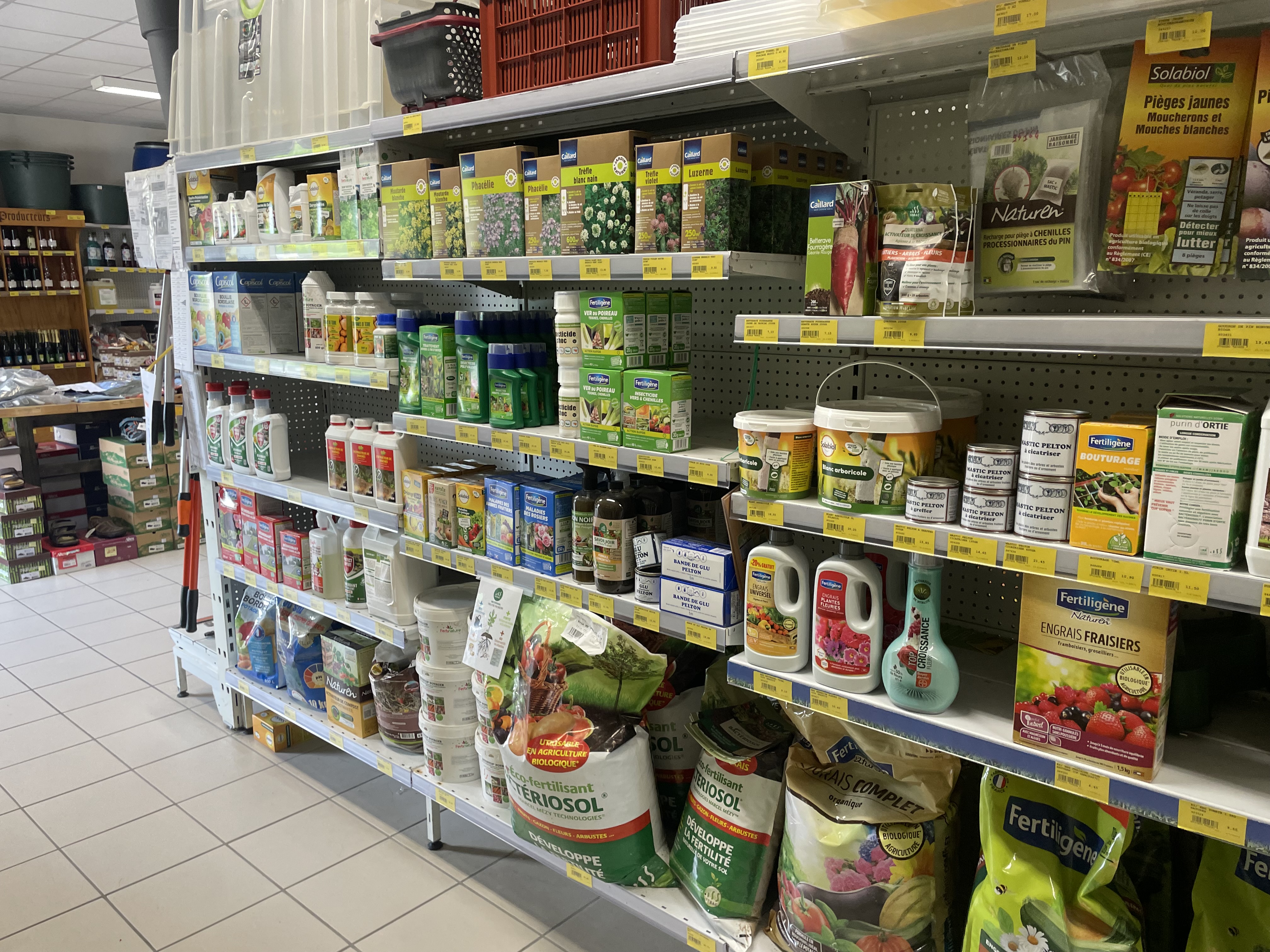 Miniature de la galerie