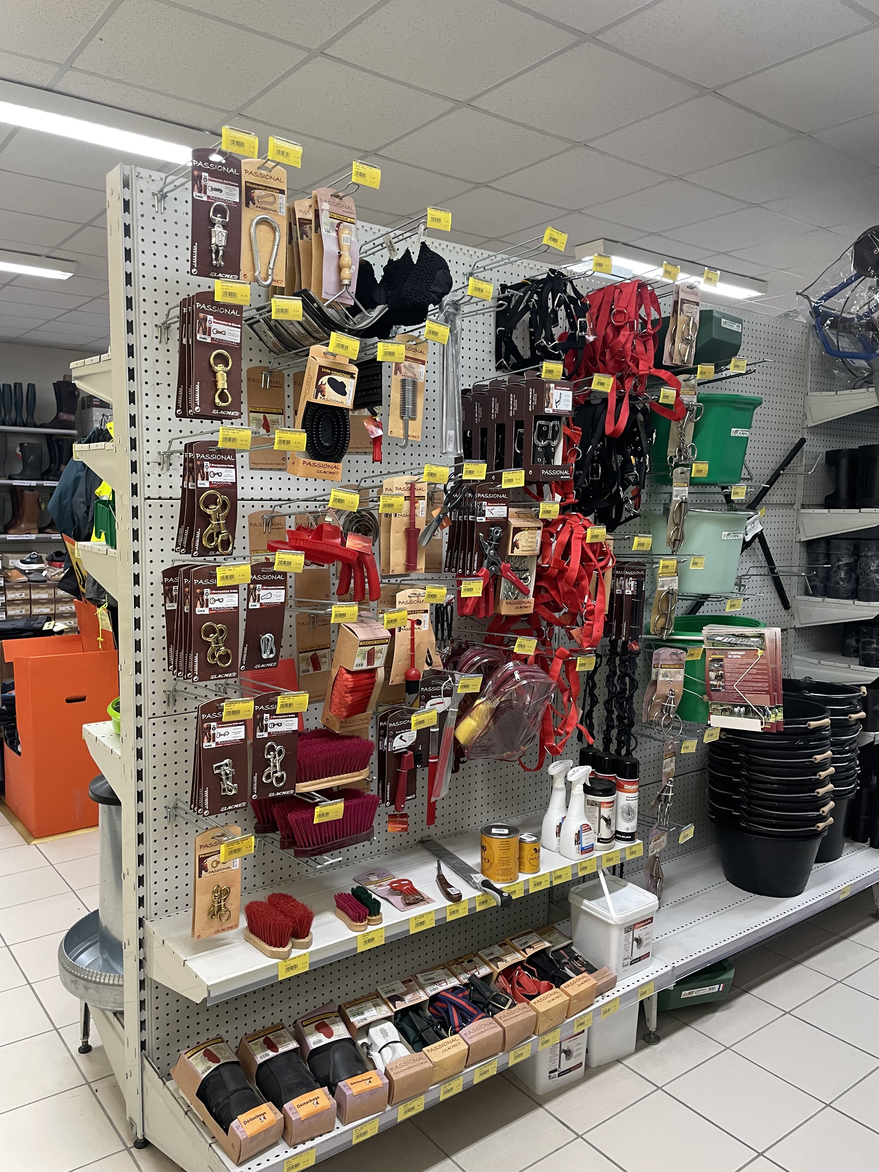 Miniature de la galerie