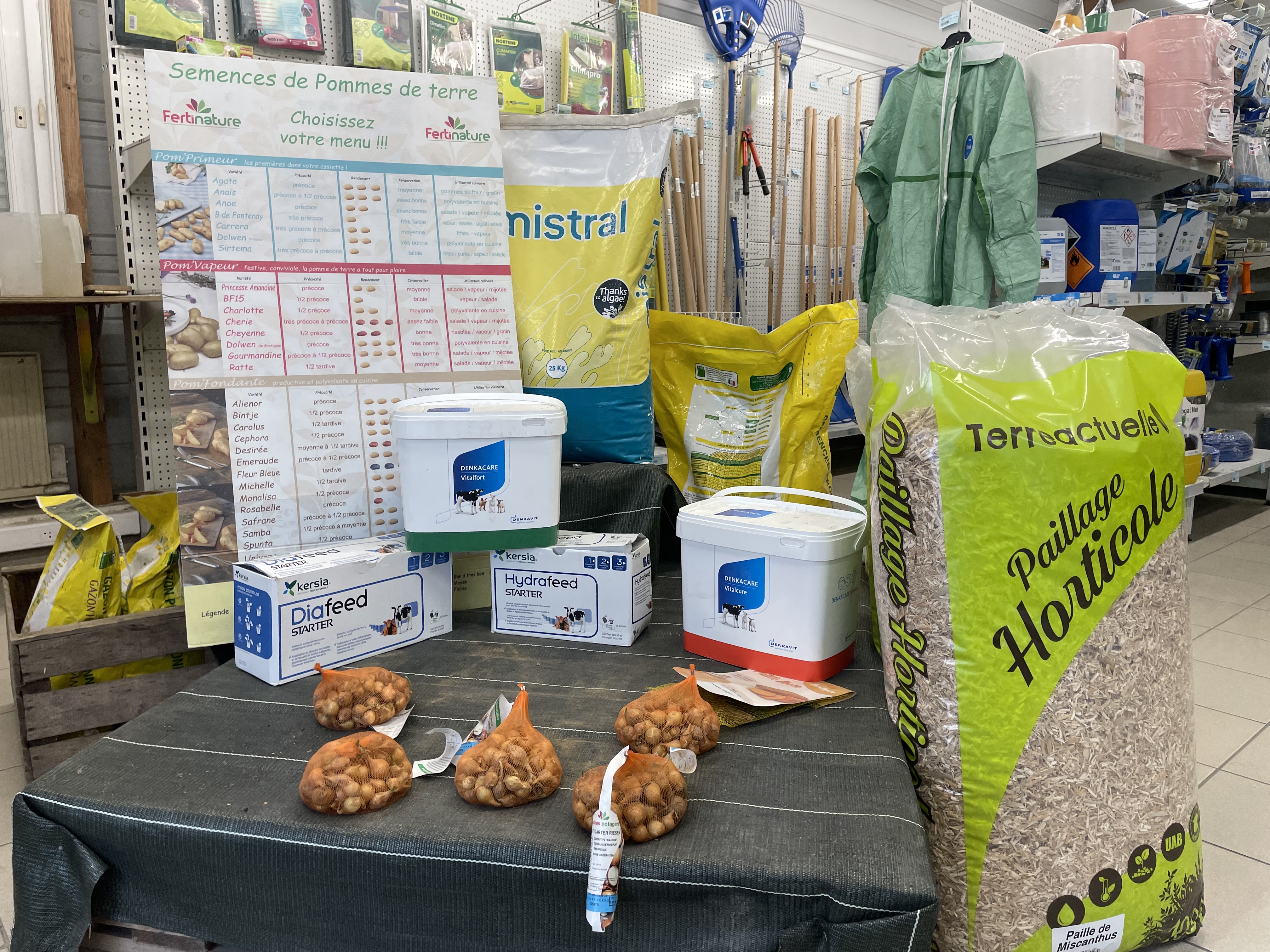 Miniature de la galerie