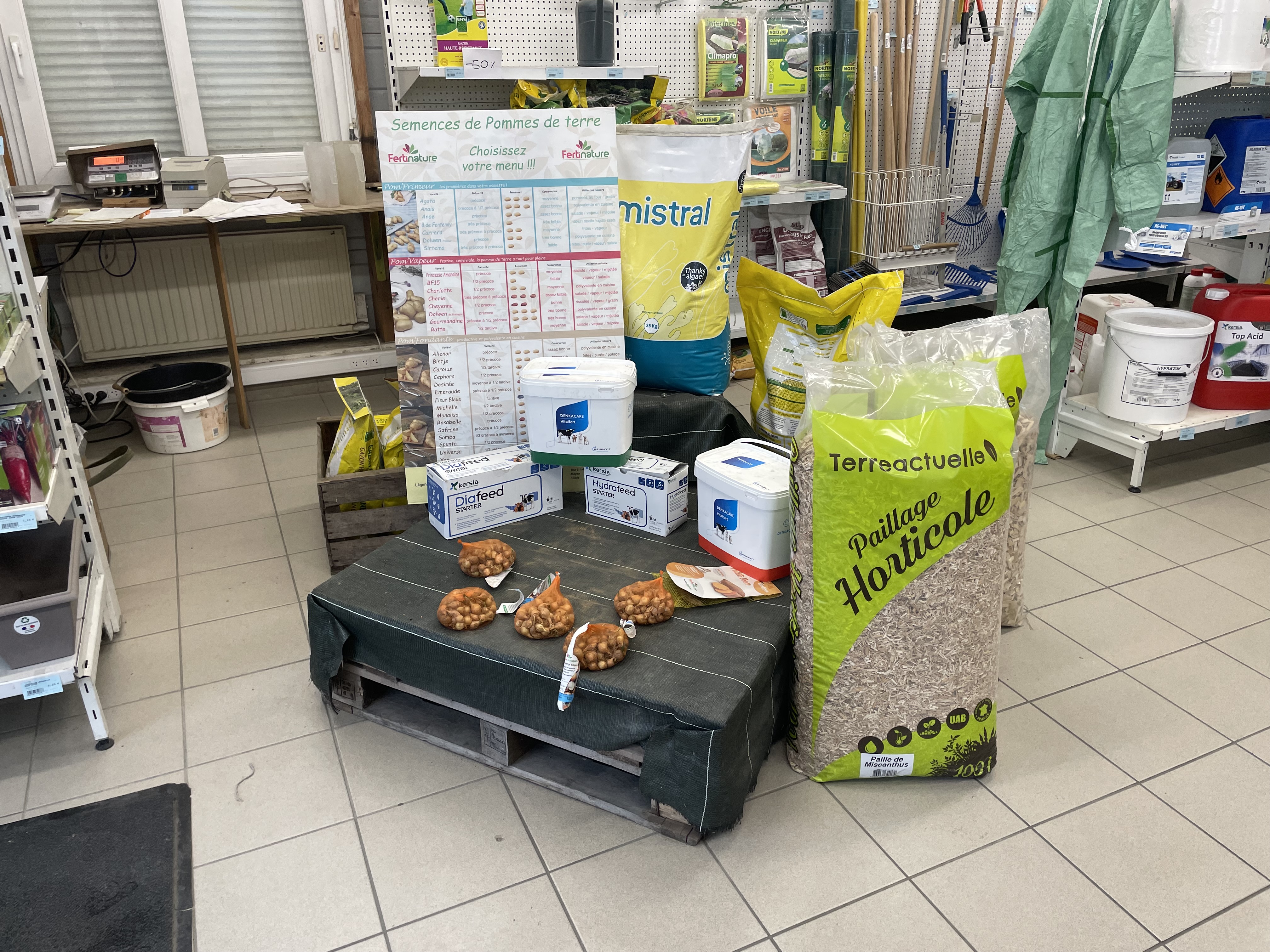 Miniature de la galerie