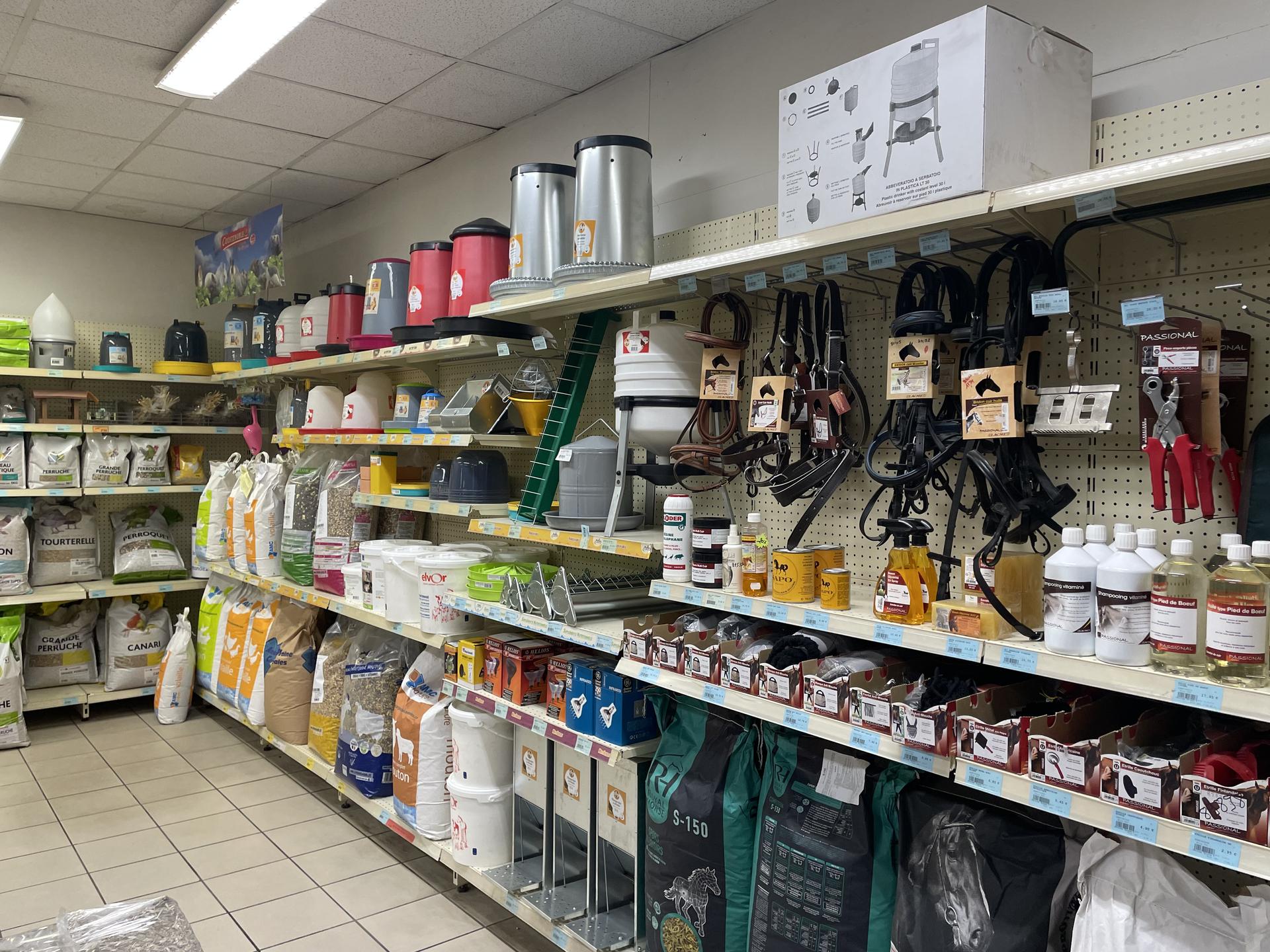 Miniature de la galerie