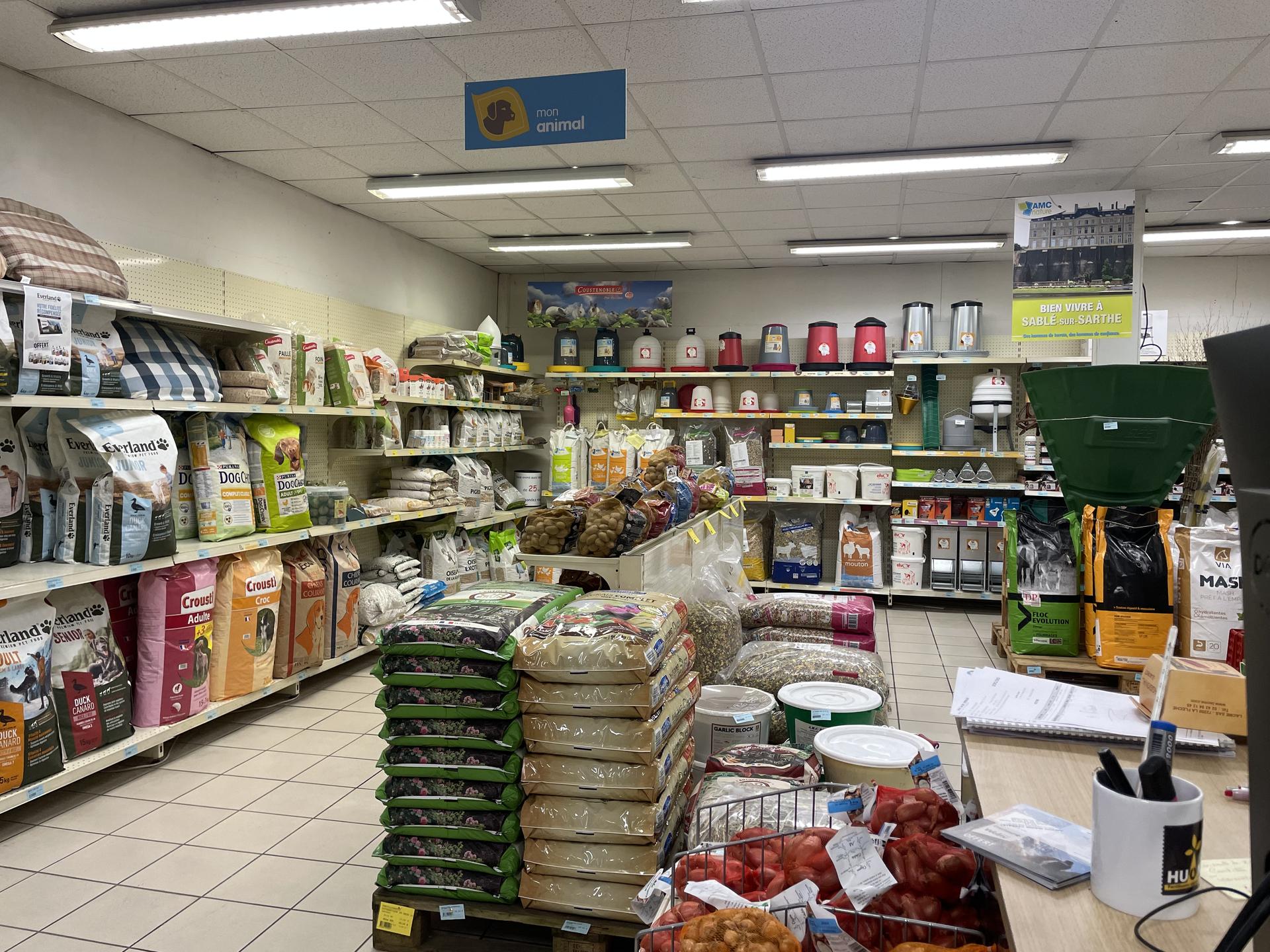 Miniature de la galerie