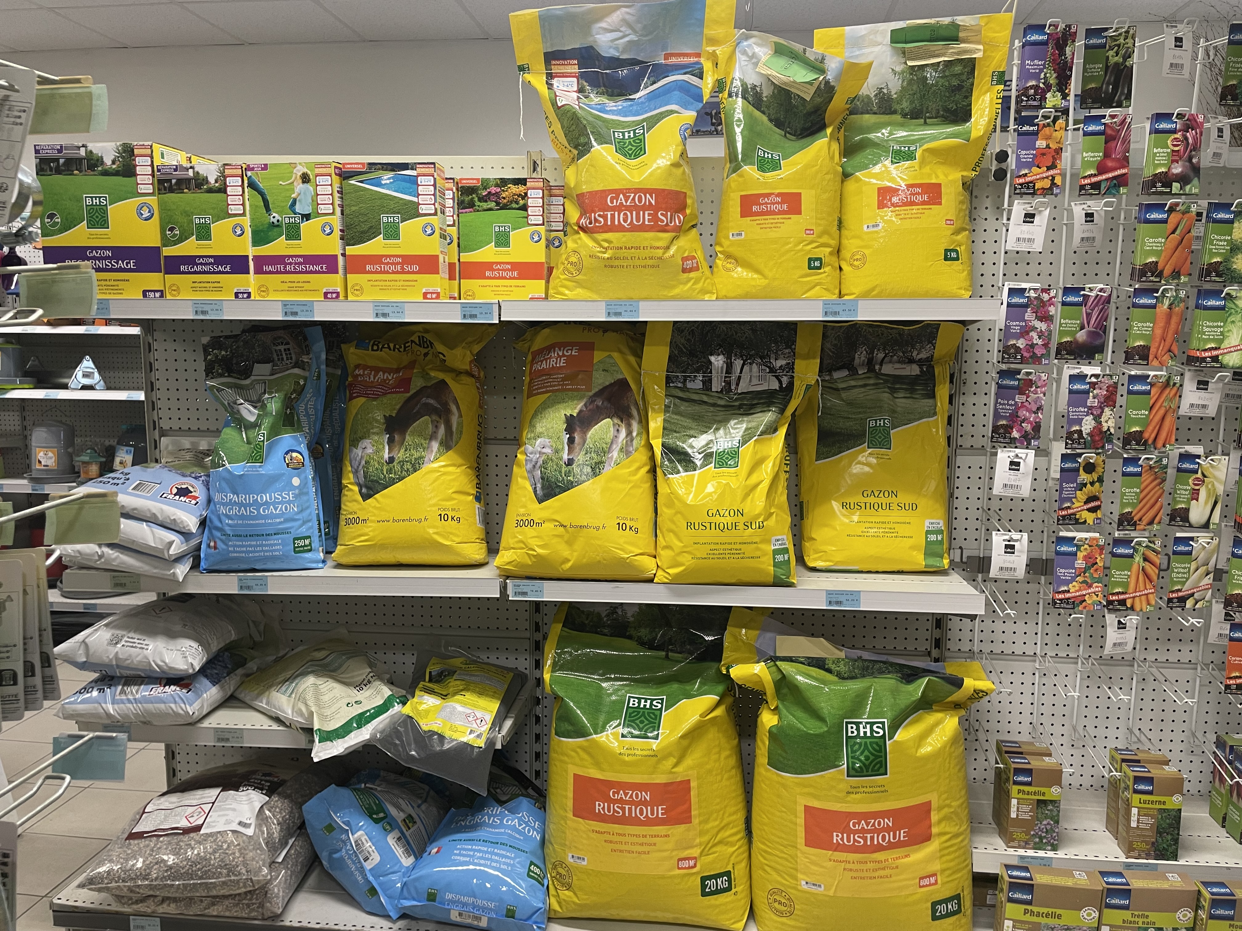 Miniature de la galerie