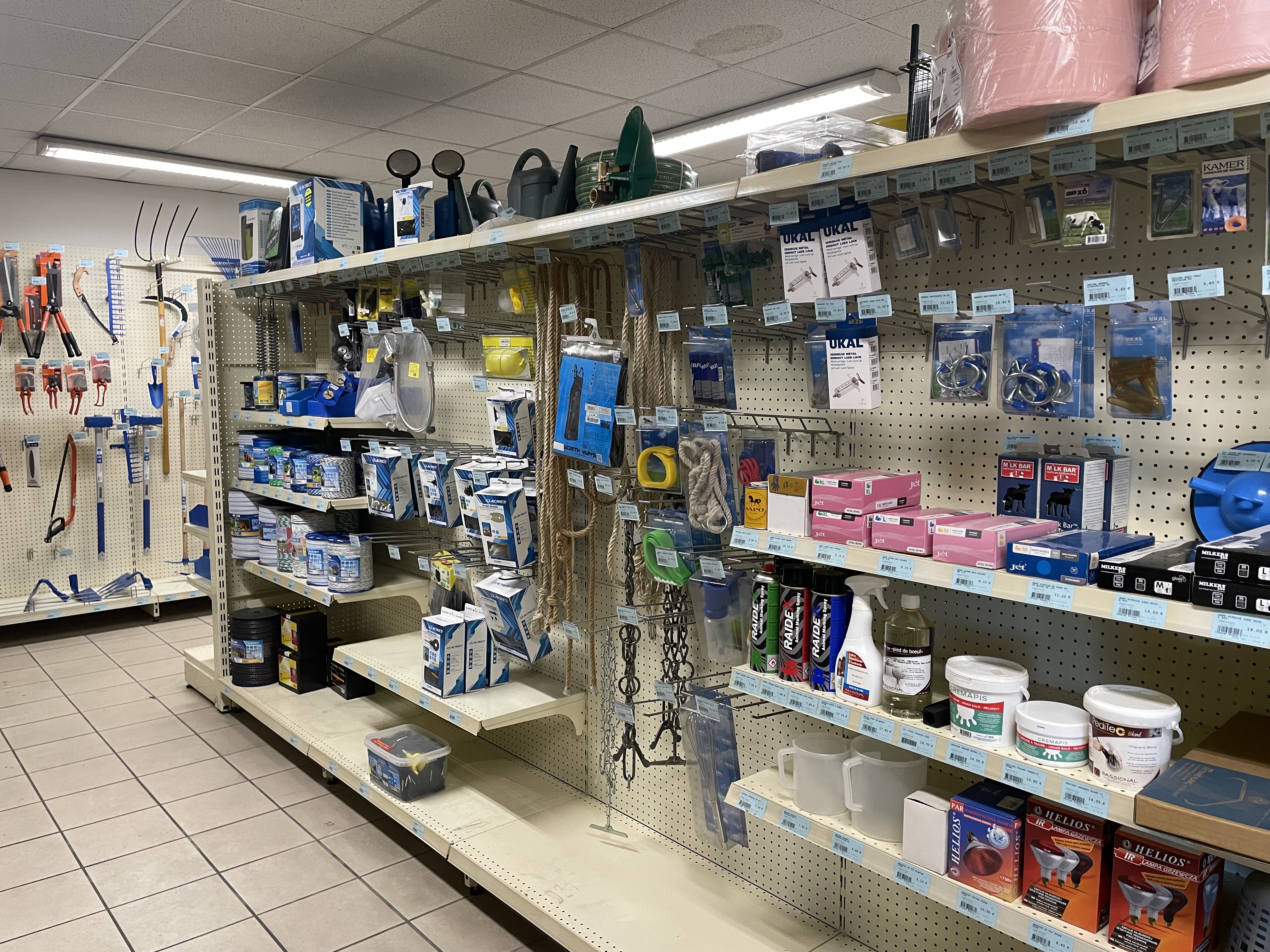 Miniature de la galerie