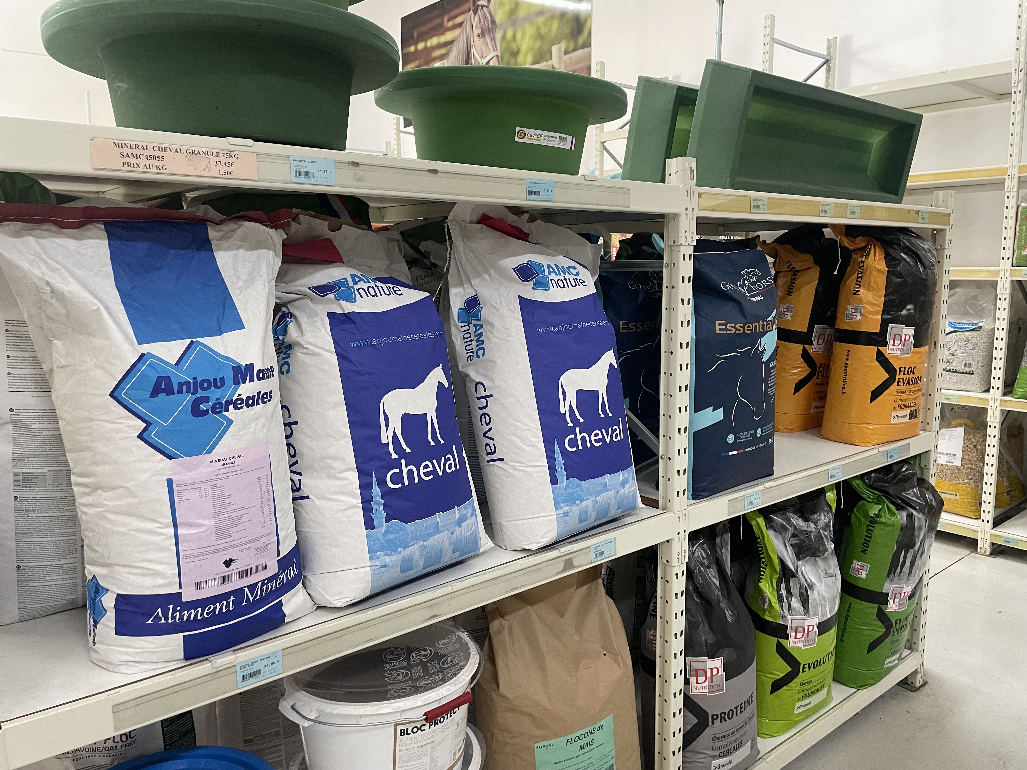 Miniature de la galerie