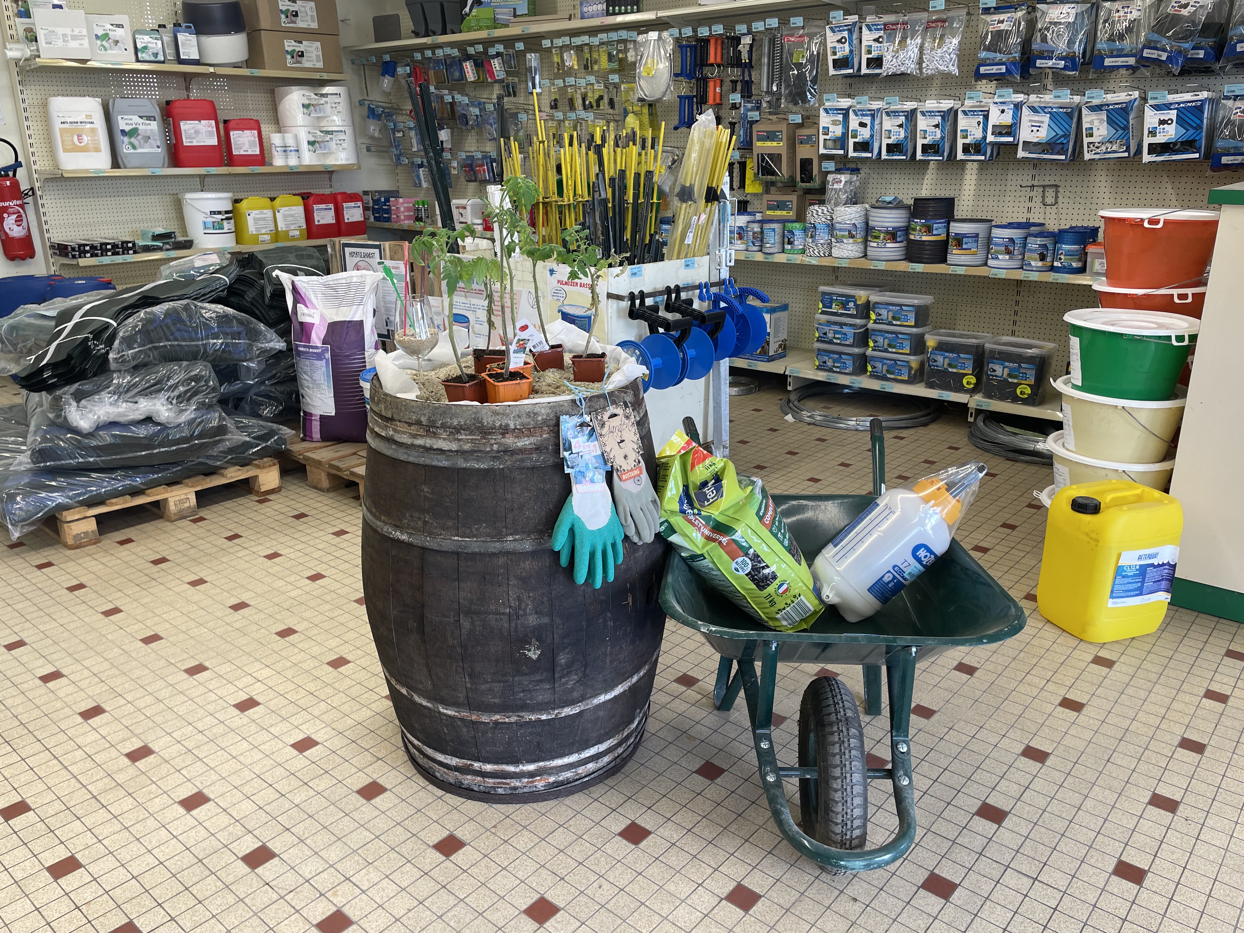 Miniature de la galerie