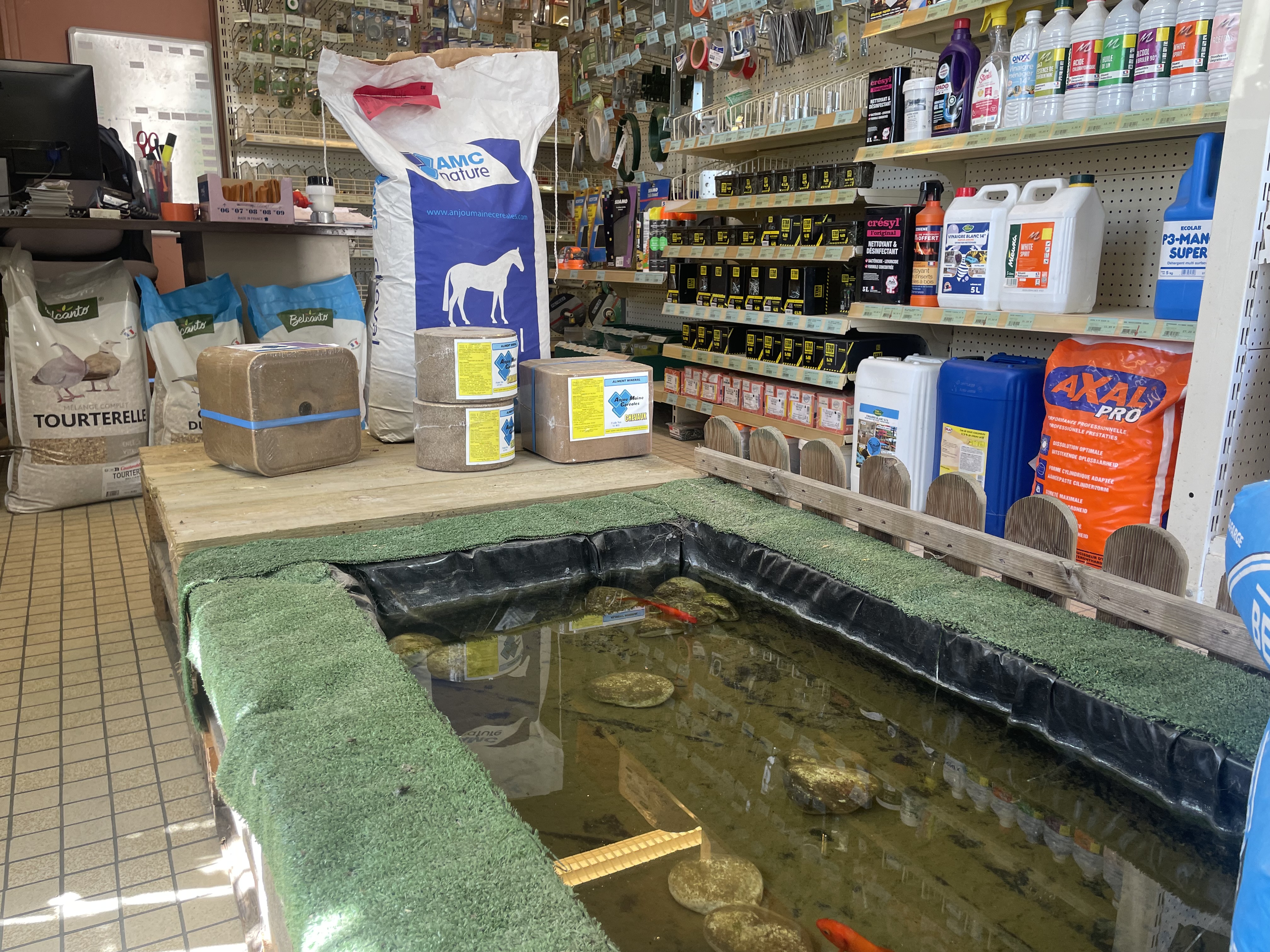 Miniature de la galerie