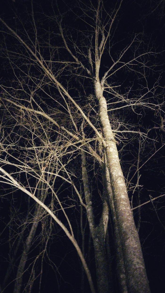 Armato Electric Image