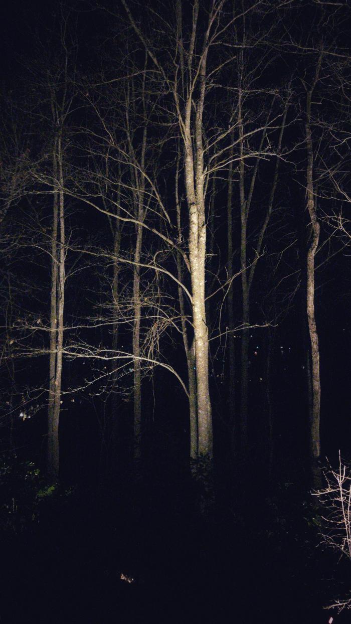 Armato Electric Image