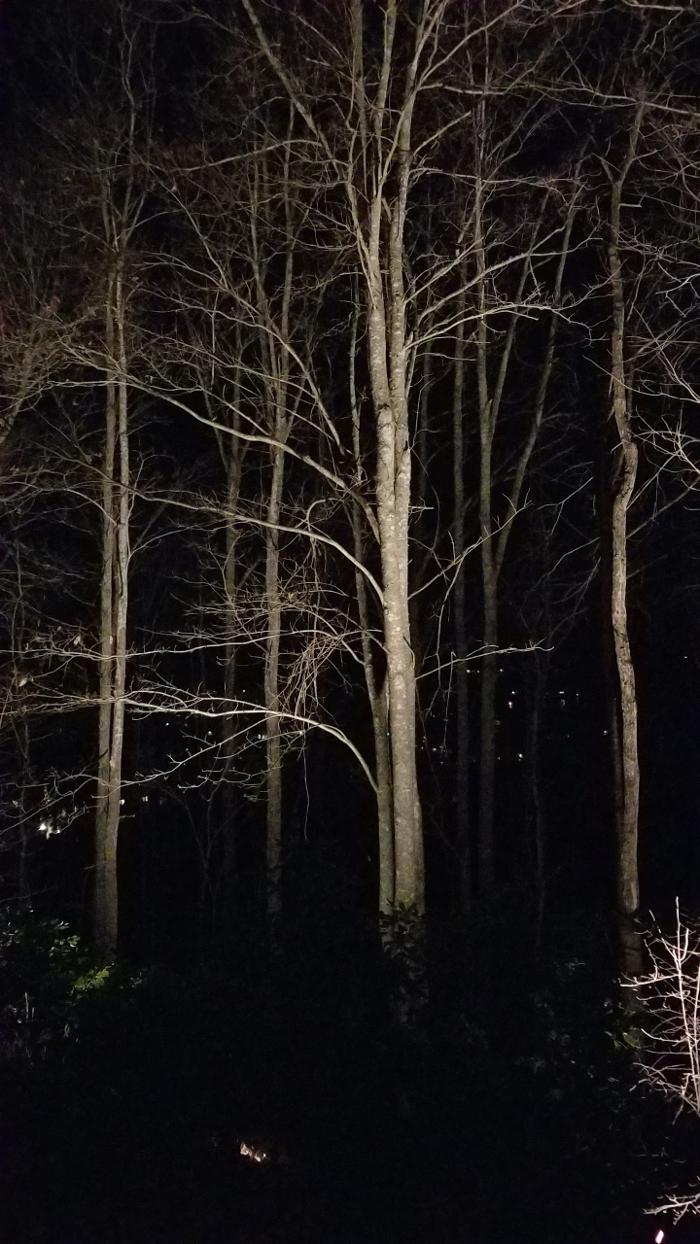 Armato Electric Image