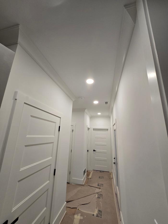 Armato Electric Image