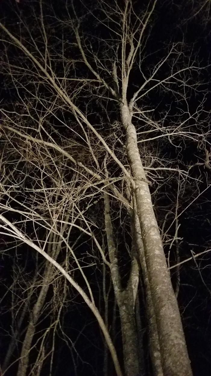 Armato Electric Image