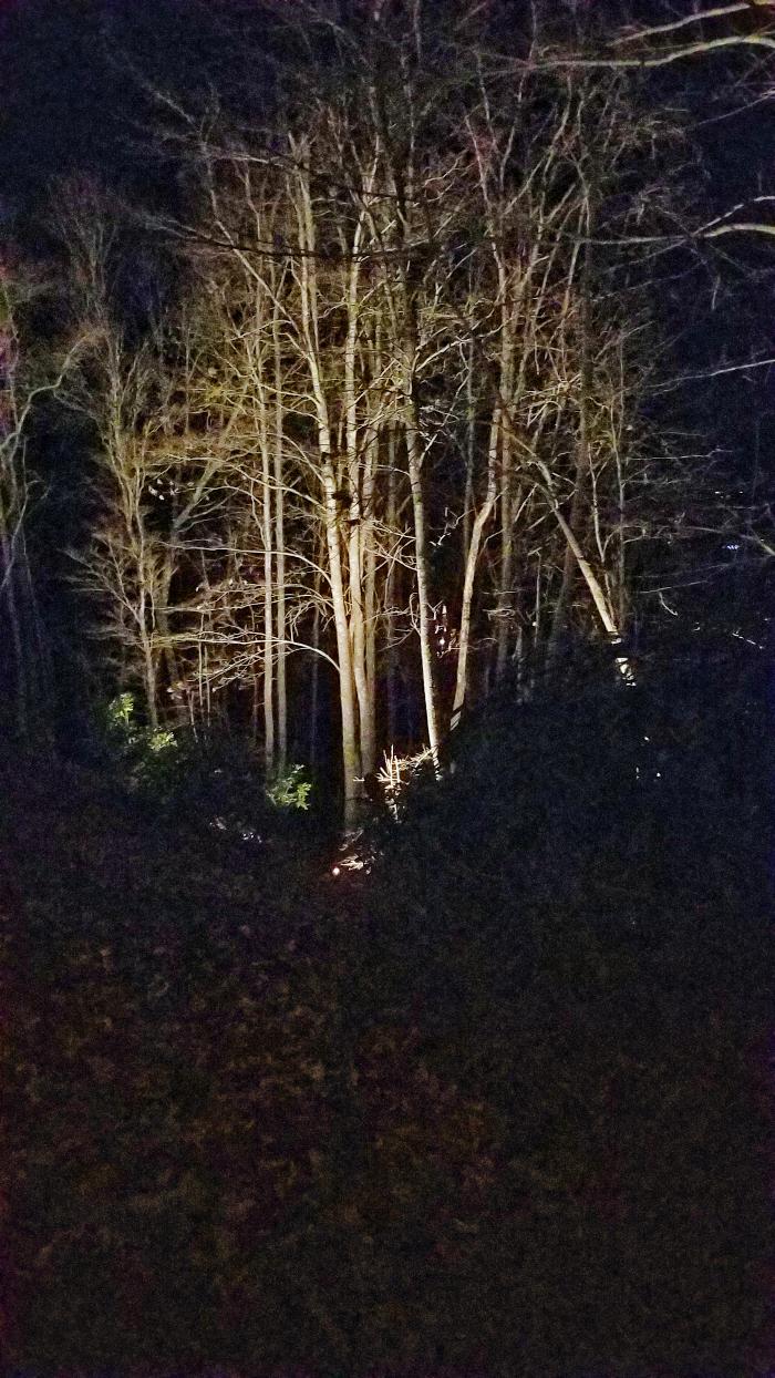 Armato Electric Image