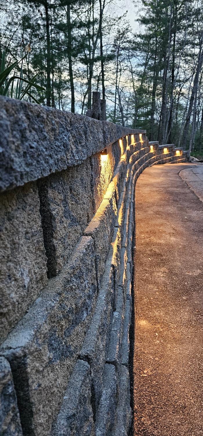 Armato Electric Image