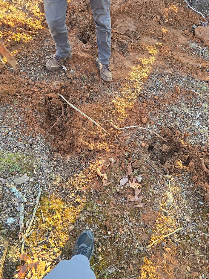 Armato Electric Image