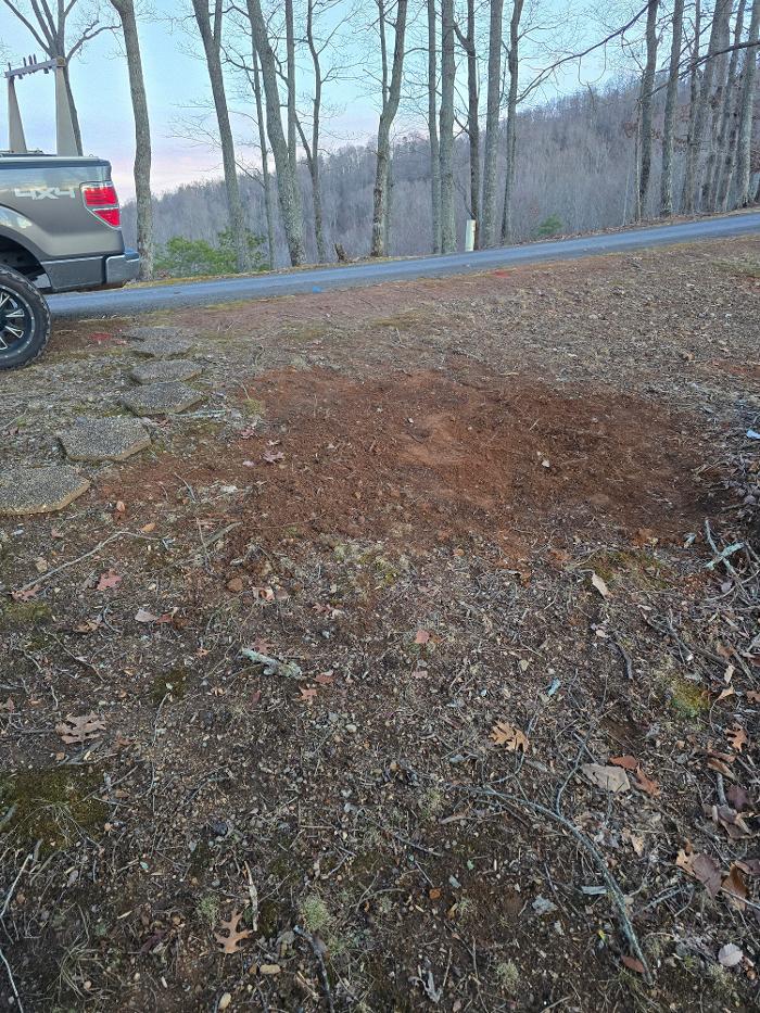 Armato Electric Image