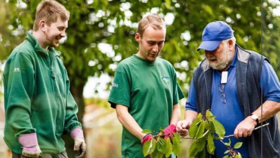 Palmer Gardens - Shaw Trust Garden Centre Trowbridge 01225 716316