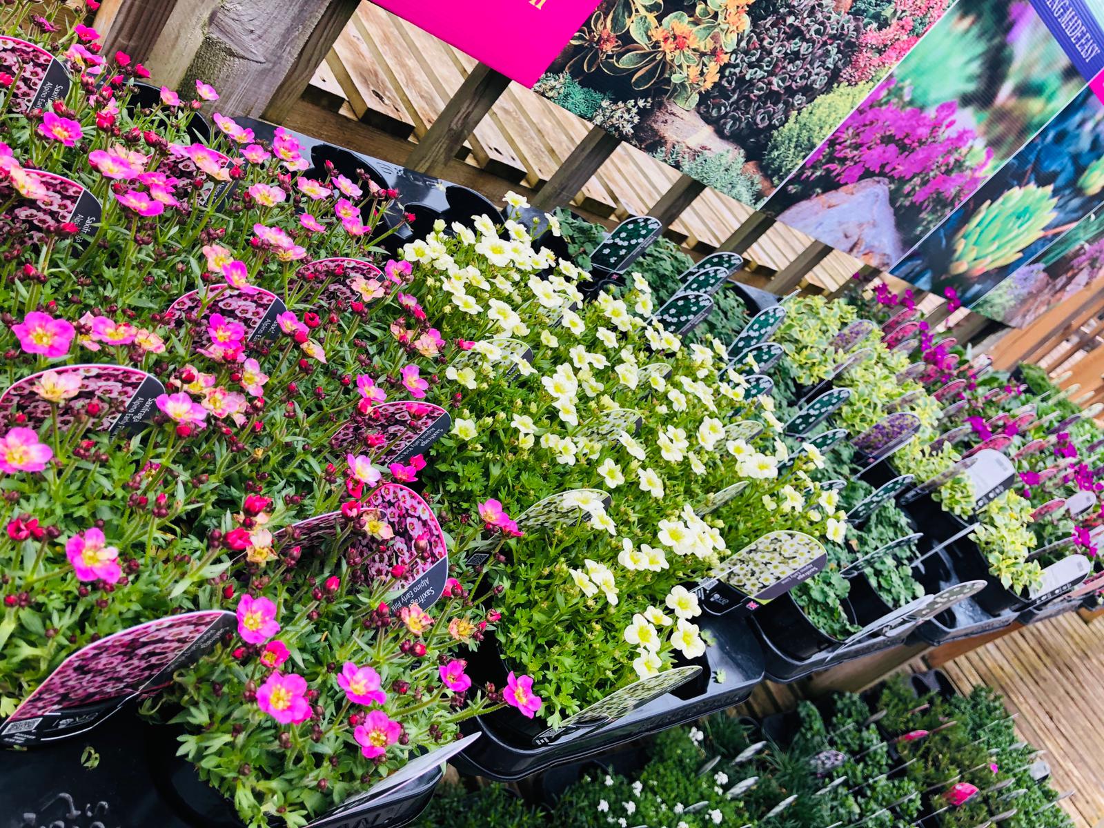 Palmer Gardens - Shaw Trust Garden Centre Trowbridge 01225 716316