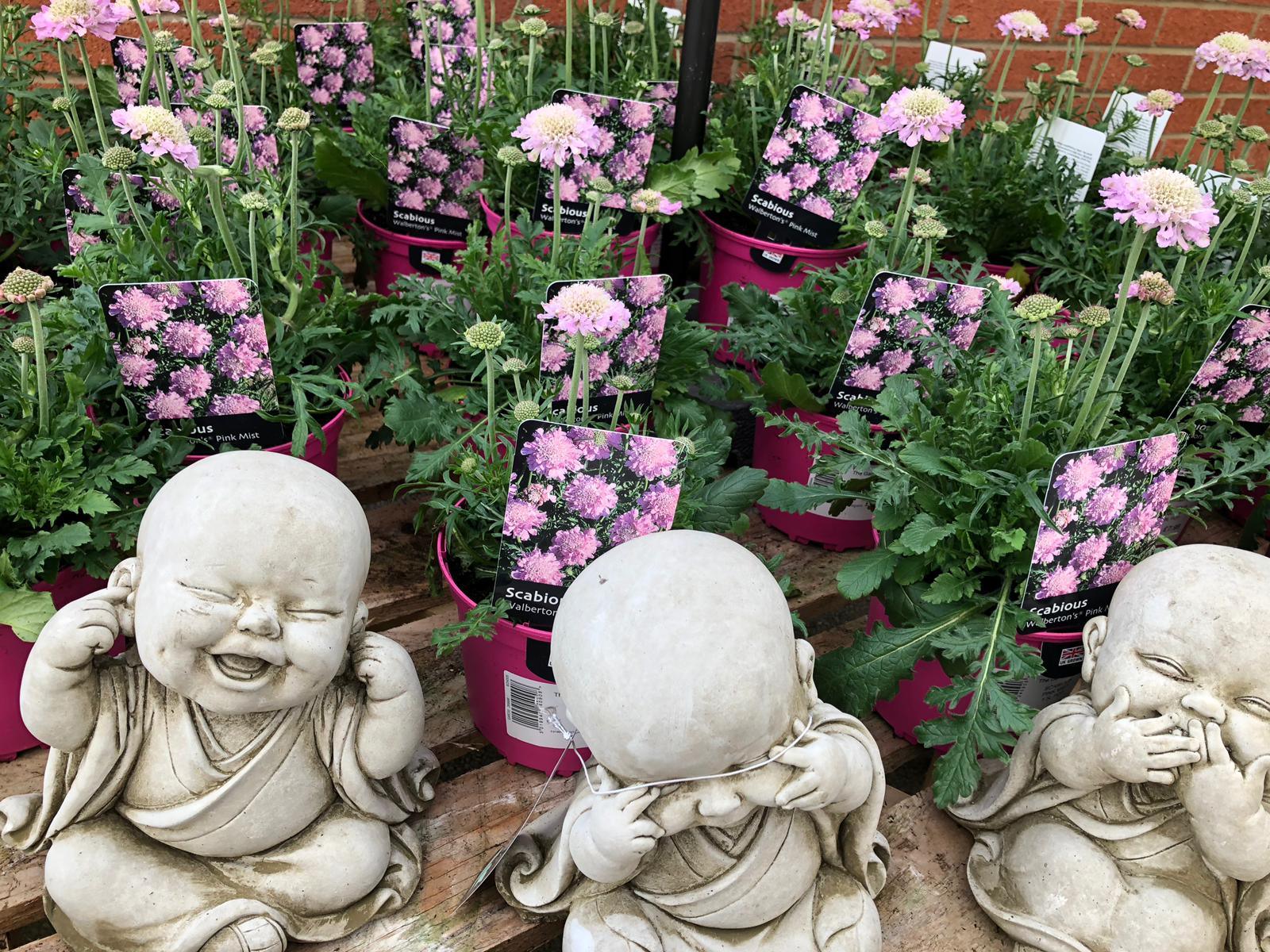 Palmer Gardens - Shaw Trust Garden Centre Trowbridge 01225 716316