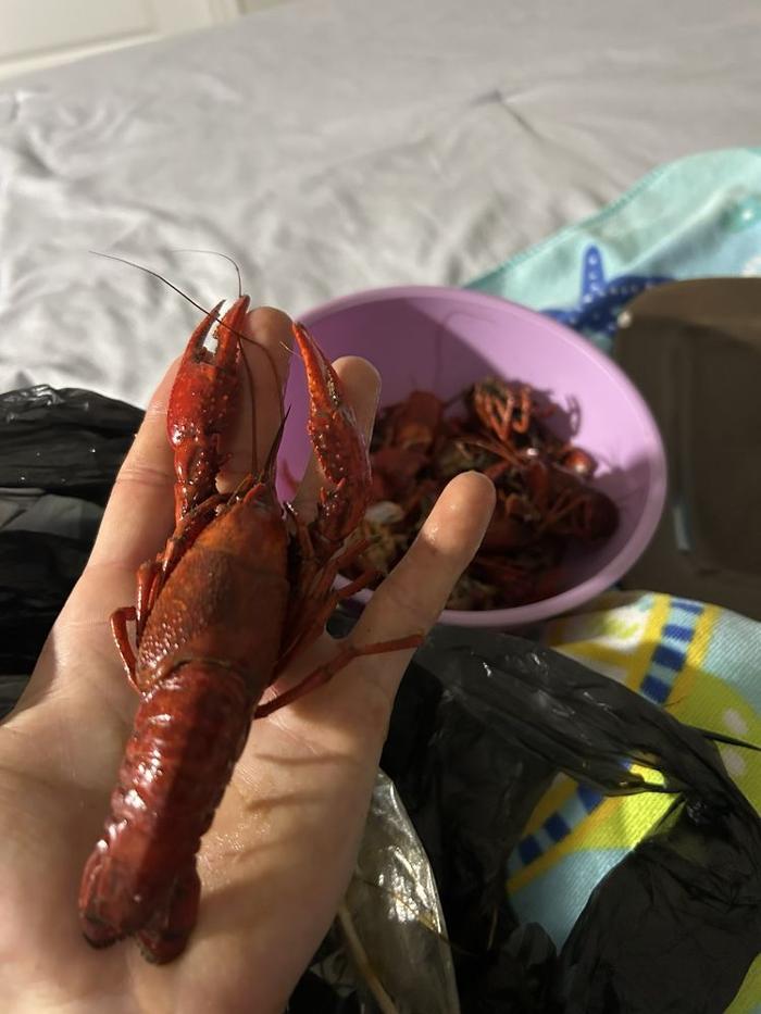 Twisted Tails Crawfish Logo