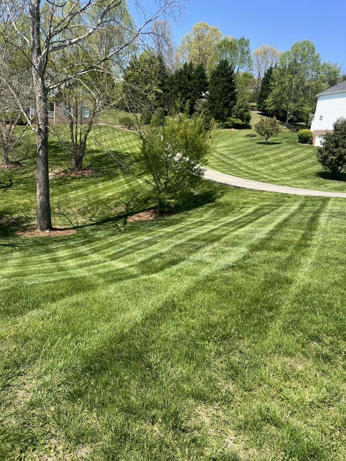 C2 Landscaping and Lawncare
