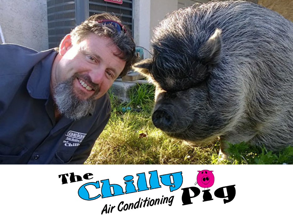 The Chilly Pig Logo