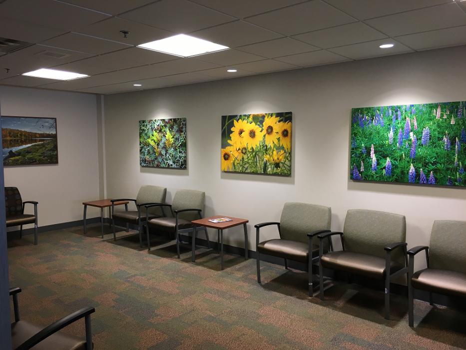 Park Nicollet Bariatric Surgery and Weight Loss Center St. Louis Park