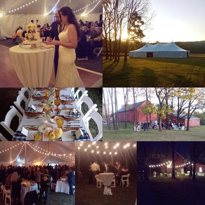 Ridgewood Winery on Daffodil Hill Farm Logo