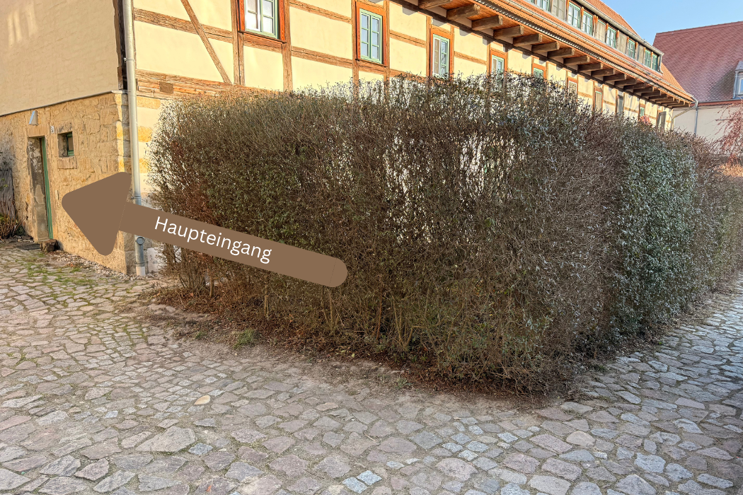 Stella’r Studio, Am Berg in Klipphausen