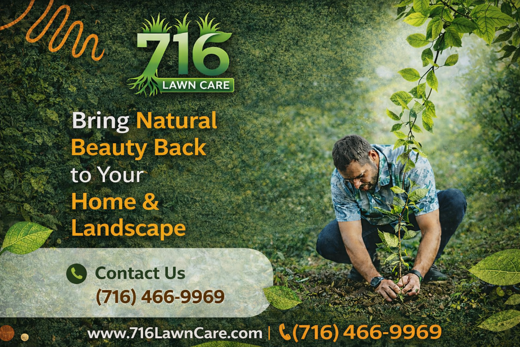 716 Lawn Care Image