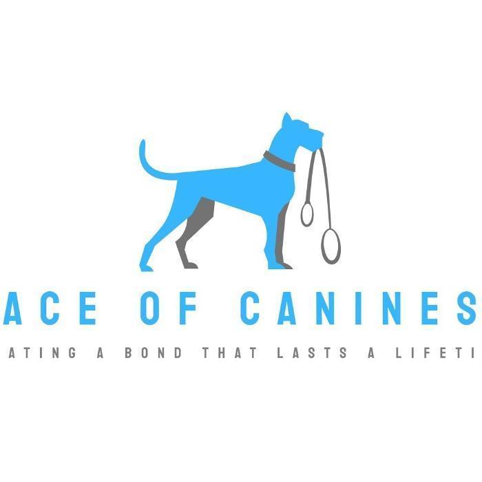 Ace of Canines