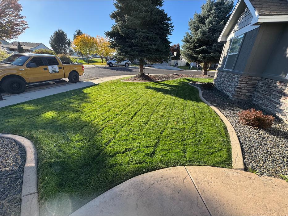 Neighborhood Lawn Legends