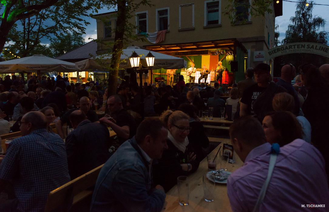 Biergarten Saline, Saline in Bad Friedrichshall