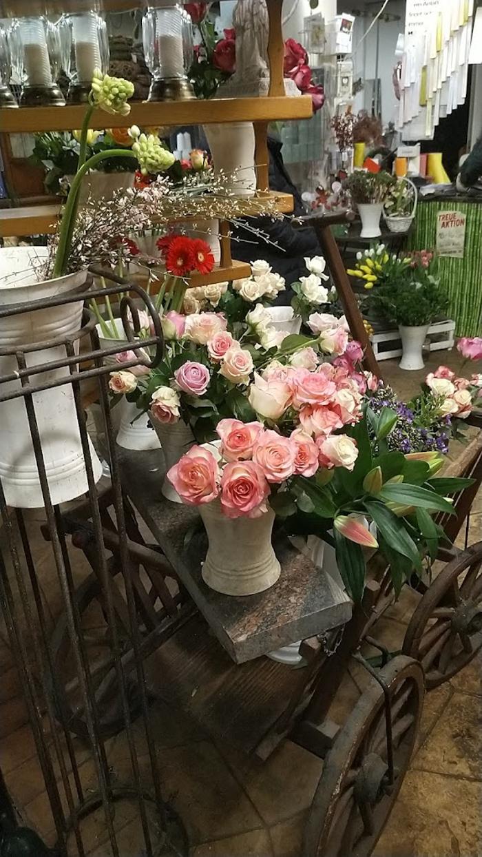 Majas Blumenecke, Matthias-Claudius-Straße in Düren